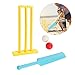 Kids Cricket Set, Plastics Cricket Bat Set, Bat and Ball and Wicket Stand, for Adults, Kids, Beginners, for Beach, Backyard, Garden