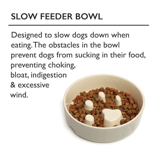 Scruffs Icon Slow Feeder Cream Pet Bowl 20cm CREAM - Image 4
