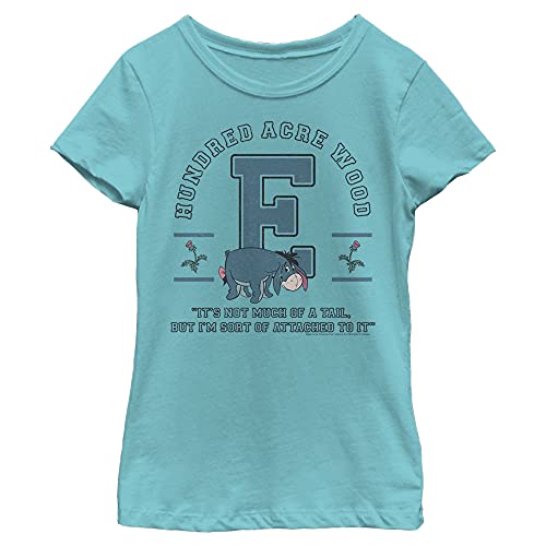 Disney Winnie l'Ourson t-shirt bleu fille col rond Bourriquet en taille M