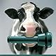 GEA Farm Technologies 7029-2725-000 ClassicPro Zitzengummi, Grün