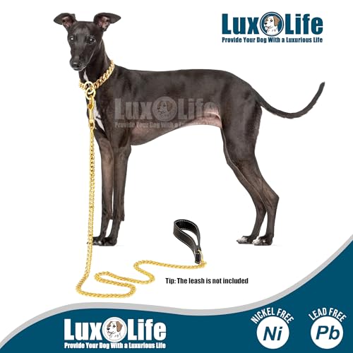Collier pour chien résistant à l'usure chaîne dorée incassable pour la promenade - 6