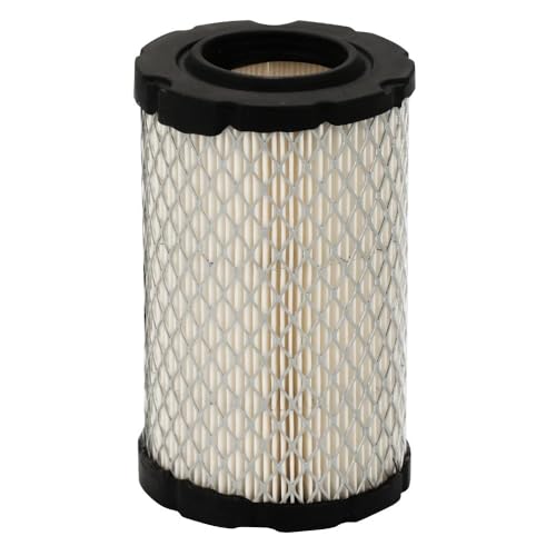 Filtre à air pour 796031 résout les pannes de tondeuse Gy21435