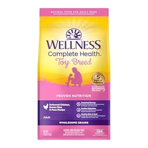 Wellness Complete Health Toy Breed Dry Dog Food with Grains, Chicken & Rice, 4-Pound Bag (Packaging may vary)