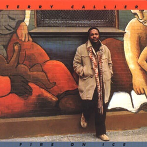TERRY CALLIER - Fire On Ice - CD