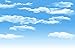 Leowefowa Blue Sky White Cloud Backdrop Sky Clouds Natural Scenery Photography Background Wedding Birthday Party Banner Decorations Backdrop Photo Studio Props 10x8ft Vinyl