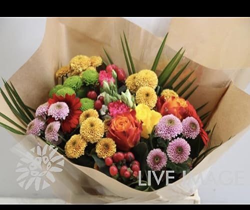 Bouquet de fleurs Terre di Romagna pour illuminer votre salon - 2