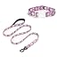 Purple + Leash