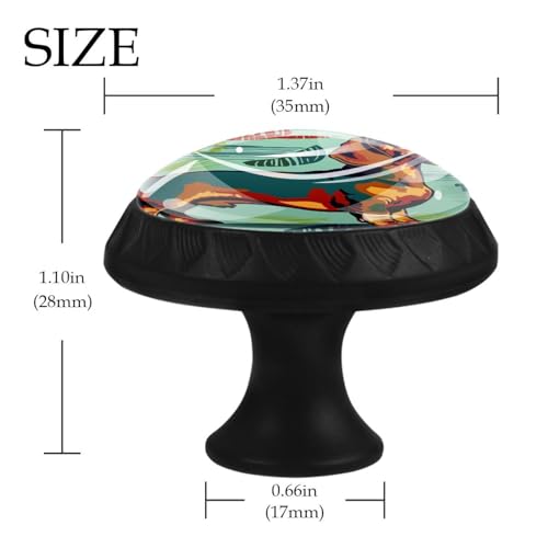 Boutons en verre de cristal durable teckel pour armoire chic - 5