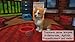 Little Friends 2: Puppy Island - Die Insel der Welpen - [Nintendo Switch]