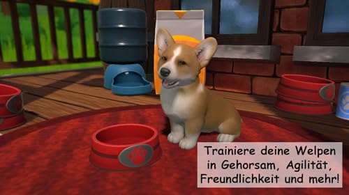 Little Friends 2: Puppy Island - Die Insel der Welpen - [Nintendo Switch]
