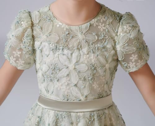 dideyttawl Short Flower Girls Dress A-Line 3D Embroidery Tulle High-Waisted Elegant Knee Length Lace Dress 754S3