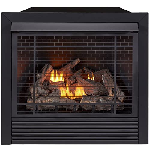 Duluth Forge FDI32R Dual Fuel Ventless Fireplace Insert - 32,000 BTU, Remote Control