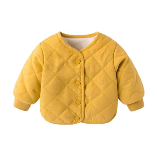 [Kaocee] xr[ 100 WPbg ̎q H~ h  gbvX j̎q Ci[  q N LbY h ۉ AE^[ t ~  Ԃ n g y i R[g t[hȂ