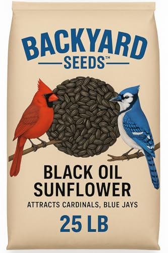 CountryMax Backyard Seeds Black Oil Sunflower Seeds for Wild Birds – 25 lb Bag – High-Energy Food for Cardinals, Jays, Woodpeckers – Backyard Feeder Favorite