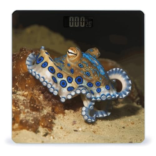 Báscula digital Blue Ring Octopus con vidrio templado miniatura 1