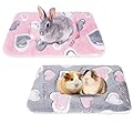 Guinea Pig Bed Mat Washable - 2 Pcs 35x27cm Small Animal Plush Sleeping Mat, Animals Bedding, Warm Winter Beds Pad for Indoor, Rabbit Blanket, Guinea Pig Blanket Beds, Bedding for Bunny Hamster
