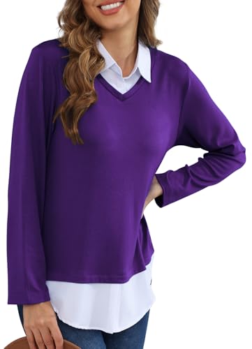 Image of MISS FORTUNE Collared Sweater Women Ladies Womens Long Sleeve Sweaters Tops 2025 Fashion
