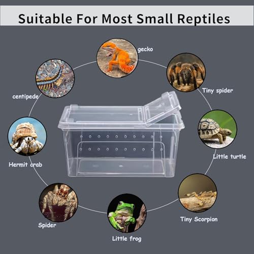 Image of PINVNBY Reptile Feeding Box 8 PCS Snake Breeding Box Reptile Transport Container 7.48 inchx4.92 inchx2.95 inch Portable Habitat Plastic Cricket Cage for Lizard Spider Scorpion Gecko Tortoise Treefrog
