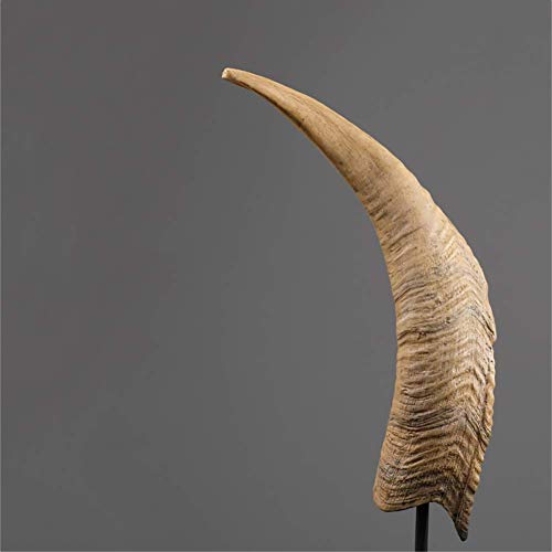 Statues en corne de bœuf crème 35cm en résine pour bureau - 7