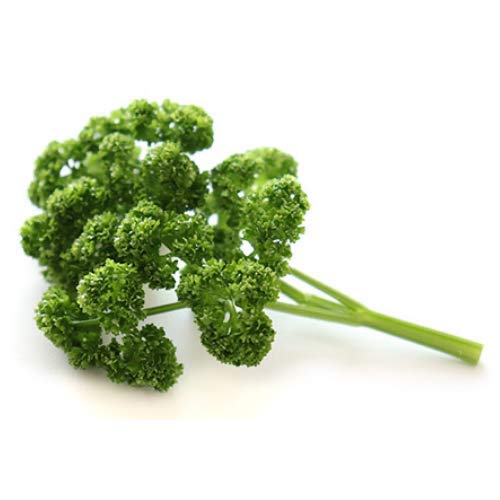 �y�����{�Y�z�p�Z�� �傫�����C�� 1�p�b�N ��200g