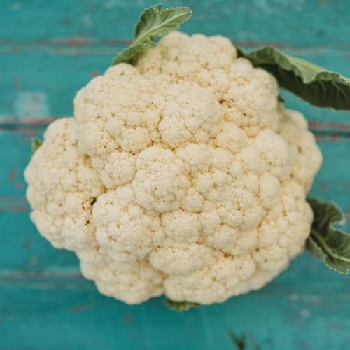 Amazing Cauliflower - 50 Seeds - Reliable Easy Growing Cauliflower Variety, Large White Crowns, Non-GMO...