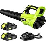 Leaf Blower Cordless, Leaf Blower with Battery and Charger - 2 Speed Modes, 2 Batteries, 20V Powerful Lightweight Electric Blowers for Blowing Leaves, Lawn Care, Patio Cleaning and Dust, Green