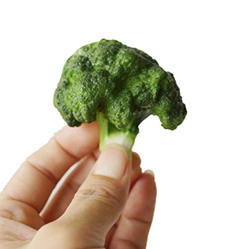 XINFU Restaurant Simulated Food Vegetable Broccoli Decoration Model Prop Fake Broccoli Pack of 3 Home Decor