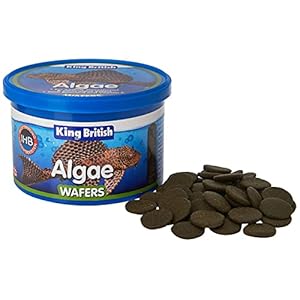 Beaphar King British Algae, Wafer with IHB, 100 g