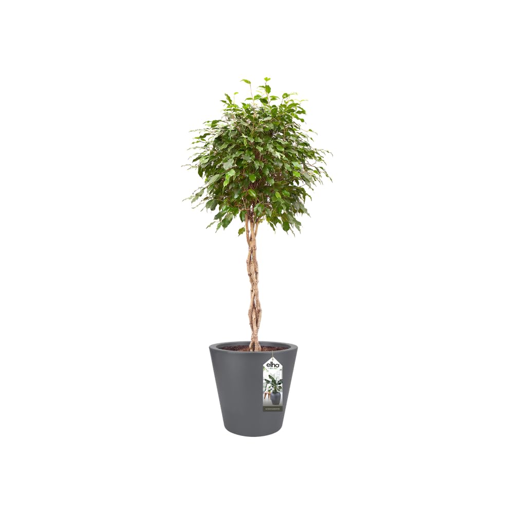 elho Pure Straight Round 50cm Blumentopf - Anthracite