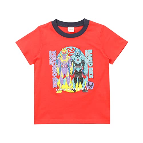 [xr[LN^[] yXgohtz2022N ĕ ʃC_[ oCX REVICE V sVc bh110cm