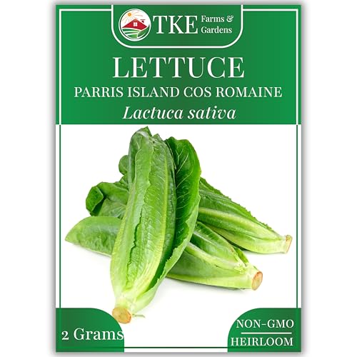 TKE Farms & Gardens - Parris Island Cos Romaine Lettuce Seeds, 2000+ Non-GMO, Heirloom Seeds, Enjoy Garden-to-Table Salad Greens, Includes Easy to Follow Instructions (1 Pack)