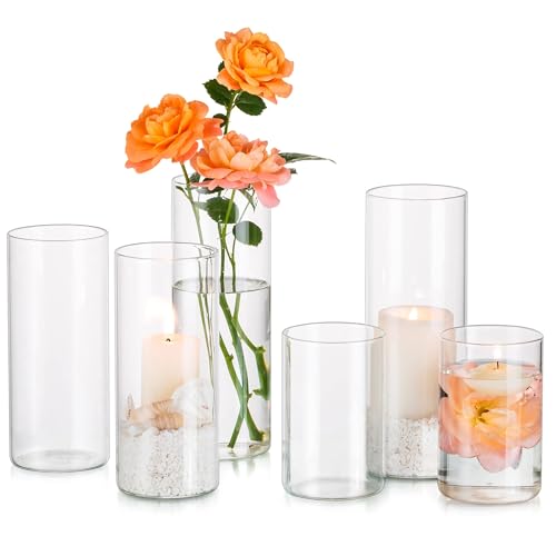 Glasseam Glass Cylinder Vases, Clear Modern Tulip Vases for Flowers & Pillar Candles, Decorative Centrepiece (10/15/20cm)