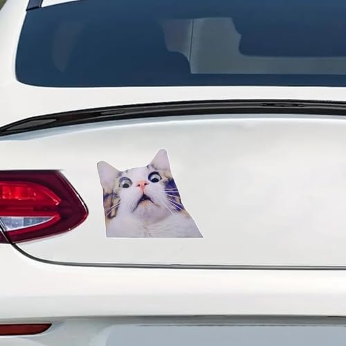 Pegatinas para coche de 6 pulgadas troqueladas en vinilo resistente 5