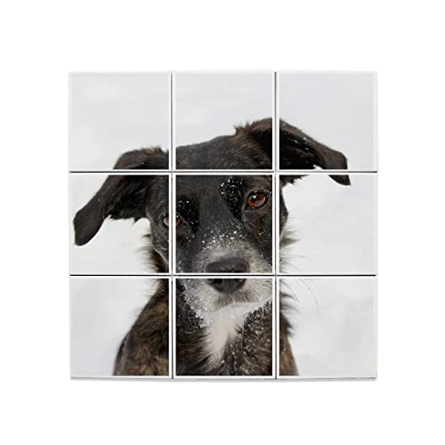 Carreaux céramique décoratif haut de gamme motif de chien mignon et paysage d'hiver