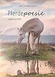 poesiebilder  Pferdepoesie: in Wort und Bild