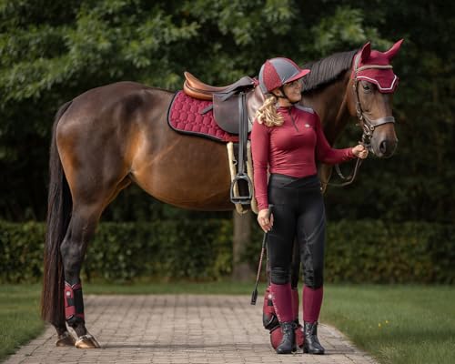 Guêtres eventing arrière QHP taille M protection cheval complet rouge - 3