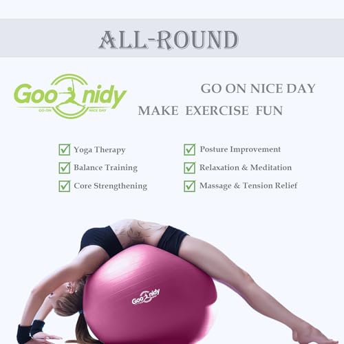 Image of Soft Exercise Ball, Anti-Burst Pilates Yoga Ball Chair Supports 2200lb, Workout Equipment w / Pump for Women Pregnancy, Medicine, Birthing, Physical Therapy, Stability, Excersing, Birth, Swiss, Fitness