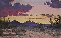 Everything But Gray: The Life of Audley Dean Nicols 0578909316 Book Cover