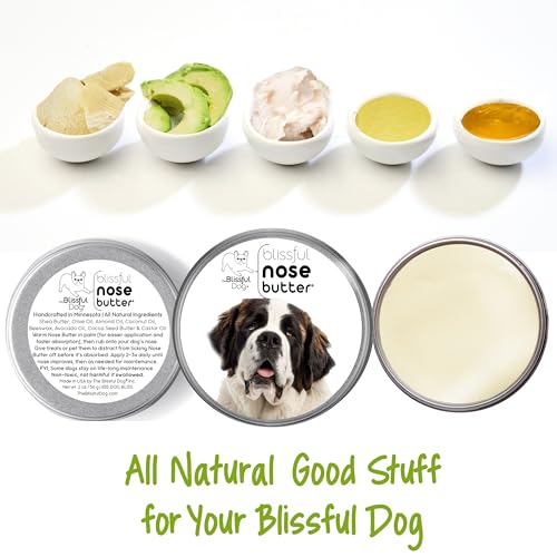 Image of The Blissful Dog St. Bernard Nose Butter for Dry, Cracked Skin, Lick-Safe Dog Nose Balm with Moisturizing Shea Butter, Almond, Olive, and Essential Oils, Pet Supplies, Uncented, 8 oz.