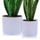 【Drainagestopfen】: Mit einem großen Drainageloch am Boden des Pflanzgefäßes für eine angemessene Drainage enthält jeder Topf eine Gummi-Drainagestopfen, ob Sie Ihre Pflanzen entwässern möchten oder nicht.