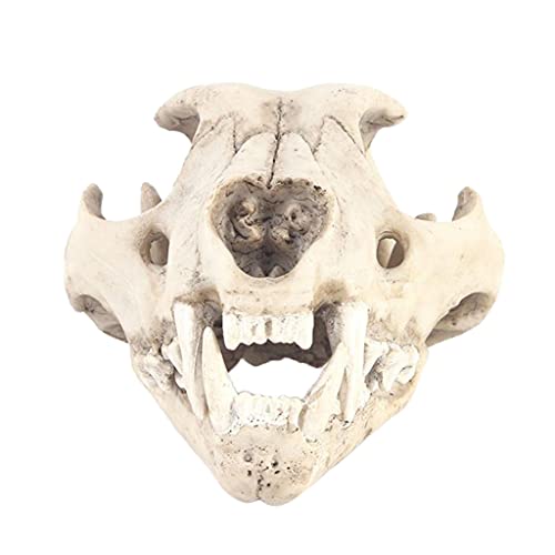 B Blesiya Cranio Animale in Resina Artificiale per...