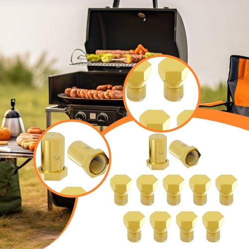 Kit conversion propane cuisinière injecteur gaz buse 4980407 316243720 - 6