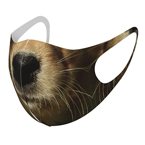 [igsticker] fUC }XN QZbg |GXe 􂦂 z}XN jp 020893ʔ j[N  