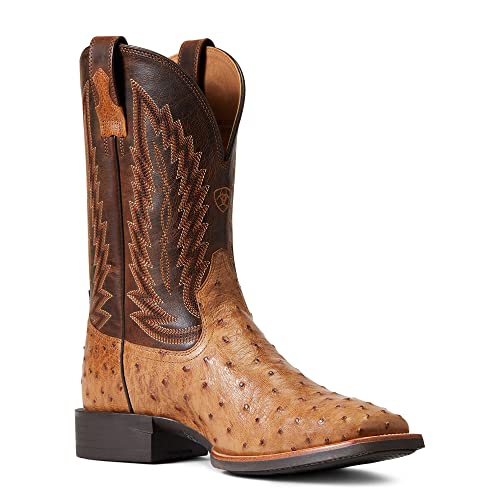 Ariat Unisex-Adult Western Mens Night Life Ultra Sqo Anq TBC/SRL BRN2