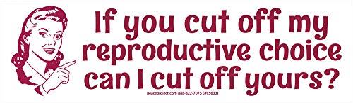 If You Cut Off My Reproductive Choice Can I Cut Off Yours? - Pro-Choice Magnetic Bumper Sticker / Decal Magnet (9.25â€ X 2.5â€)