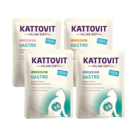 Kattovit Feline Diet Gastro Bundle 20x 85g Cover