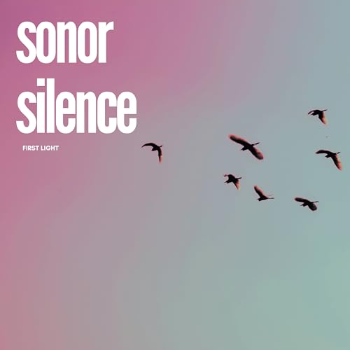 Sonor Silence