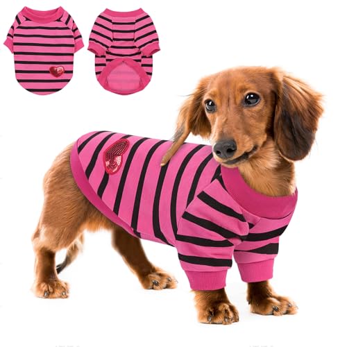 Queenmore Large Dog Shirt,Soft Breathable Dog Shirt for Dogs Cats Boy Girl,Pet Clothes for All Season,Breathable Lightweight Pet Tshirt for Frenchie, Dachshund, Yorkie