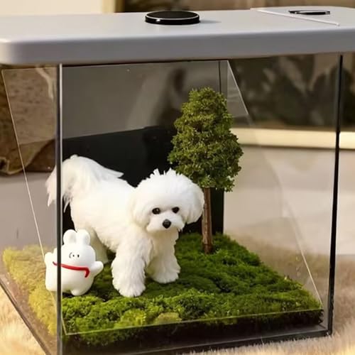 Recuerdo holográfico para mascotas efecto visual tridimensional en acrílico 4