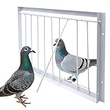 Junniu 15.7in/40cm Pigeon Cage Door One Way Entrance Door Bird T-Trap Birdcage Iron Wire Trap Door for Racing Pigeon Bird Cage Breeding Supply, 15.7in (40cm)